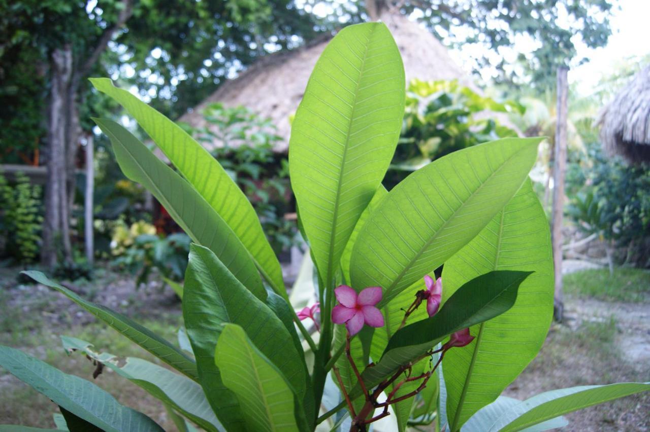 Hotel Pancho Villas Bacalar - Free Bikes And Paddles エクステリア 写真